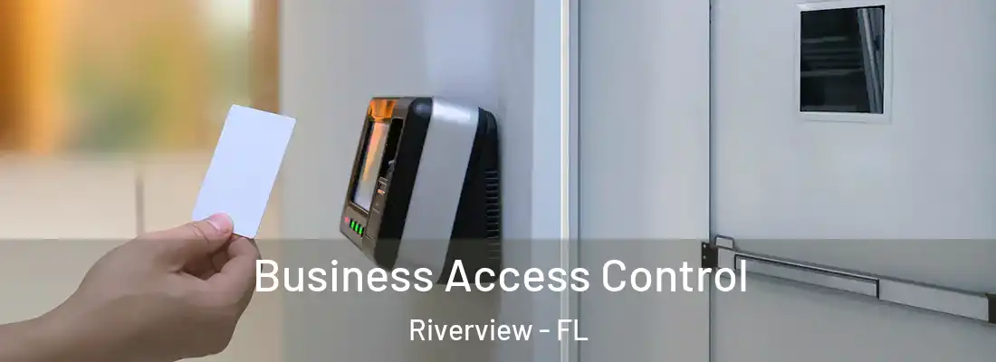 Business Access Control Riverview - FL