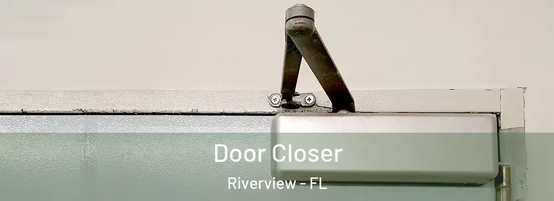 Door Closer Riverview - FL