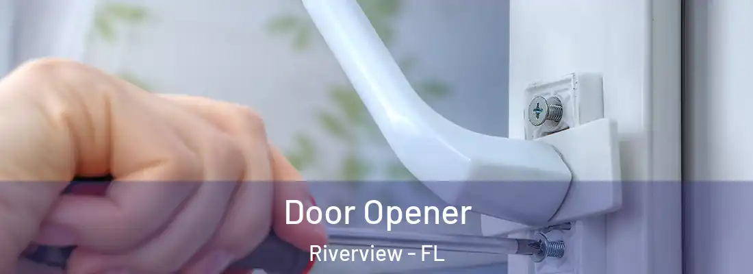 Door Opener Riverview - FL