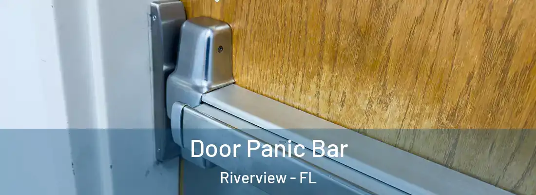 Door Panic Bar Riverview - FL