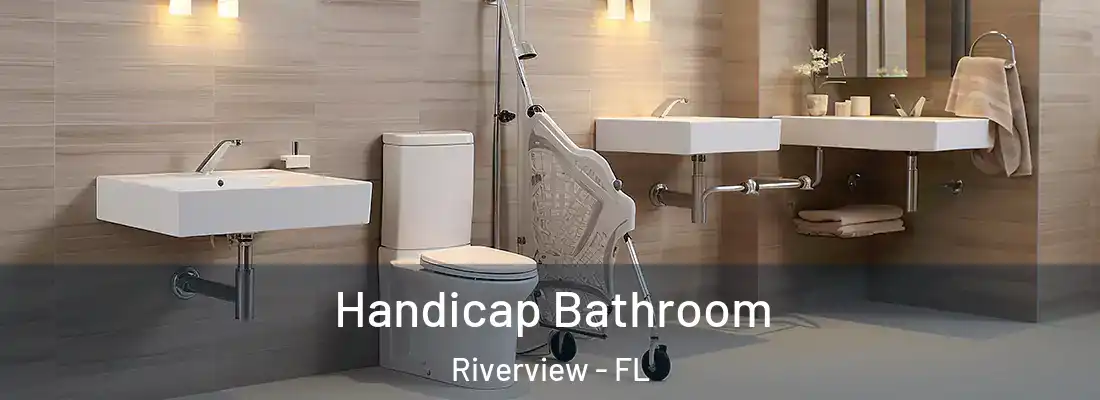  Handicap Bathroom Riverview - FL