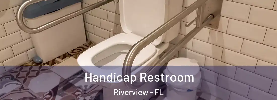 Handicap Restroom Riverview - FL