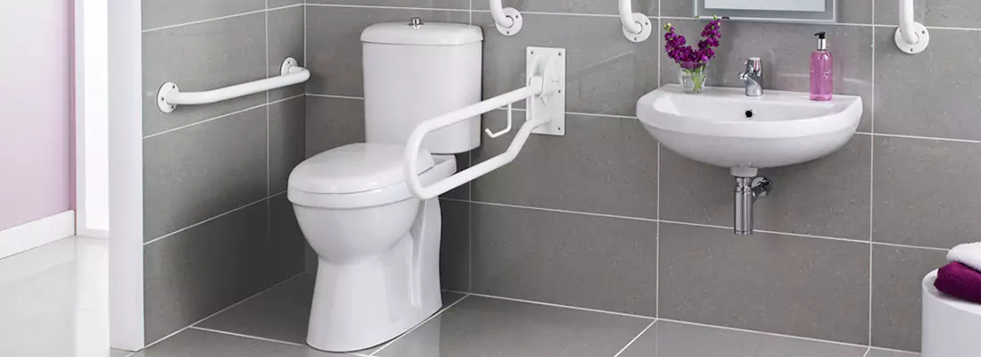 Modern Handicap Bathroom Solutions with Safety Features in Riverview, FL